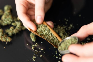 Esrarkeşin çakmakla esrar içtiği yeri kapatın. Marihuana hazırlayan ve yuvarlayan adam. Esrar kullanımı konsepti. Kapatın. Esrar saran bir adam.