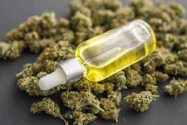 Esrar konsepti, CBD tıbbi petrol, makro, kenevir yağı pipette,