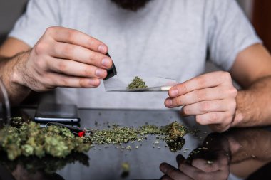 Marihuana hazırlayan ve yuvarlayan adam. Esrarkeşin çakmakla esrar içtiği yeri kapatın. Uyuşturucu narkotik konsepti. Kapatın. Esrar saran bir adam. Uyuşturucu kullanımı.