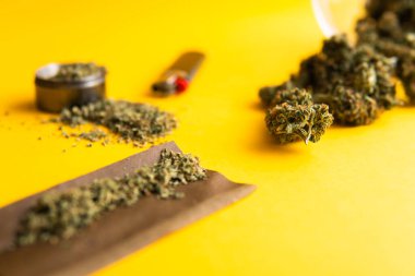 Taze marihuana. Üst Manzara. Sarı arka planda esrar tomurcukları. Kenevir tomurcukları için CBD ve THC. Blunt ve Lighters. Kopya uzayı için arkaplan. Kenevir yasallaştırması.