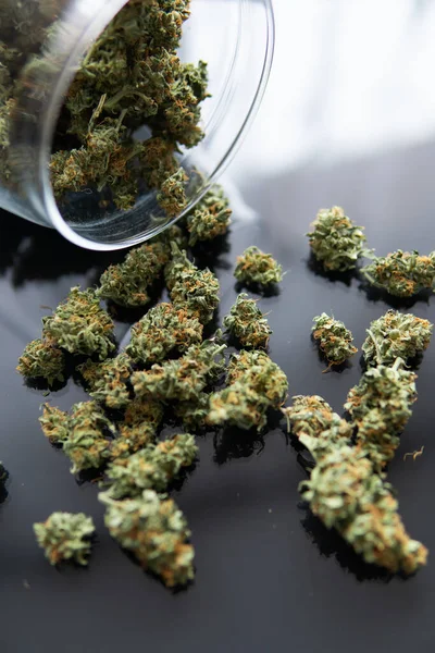 Herb Grinder Fresh Marihuana Cannabis Buds Hand Black Background Background — Stock Photo, Image