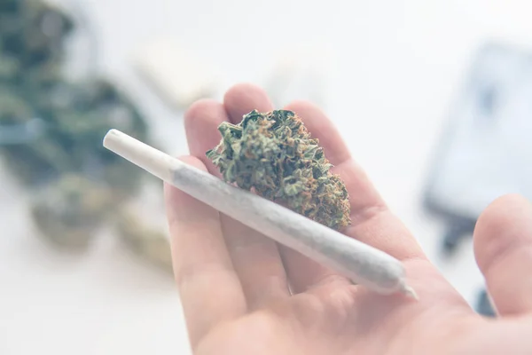 Marihuana Yerba Conjunta Marihuana Cannabis Brotes Mano Fugas Luz Tonos —  Fotos de Stock