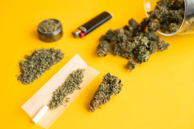 Blunt ve Lighters. Kapatın. Kenevirin yasallaştırılması. Kenevir tomurcukları için CBD ve THC. Bitki öğütücü Taze marihuana. Kopyalama alanı için sarı arkaplan üzerinde esrar tomurcukları.