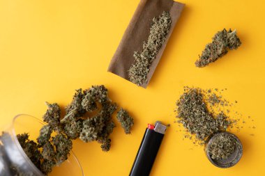 Taze marihuana. Blunt ve Lighters. Kopyalama alanı için sarı arka planda esrar tomurcukları. Üst Manzara. Kenevir tomurcukları için CBD ve THC. Kenevir yasallaştırması.