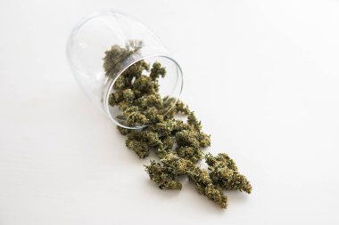 Beyaz masada esrar tomurcukları, ot, taze marihuana, yakın plan.,