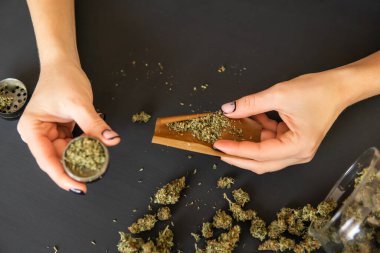 Marihuana saran bir kadın. Esrar kullanımı konsepti. Marihuanayı öğütücüyle kapat. Esrar hazırlayan ve saran bir kadın.