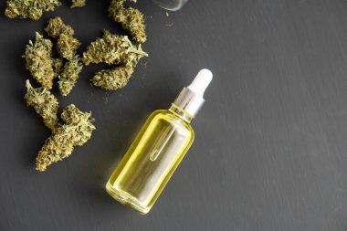 Pipette esrar yağı, yakın çekim, tıbbi marihuana konsepti, CBD kenevir yağı,