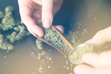 Marihuana saran bir adam. Esrarkeşin çakmakla esrar içtiği yeri kapatın. Marihuana hazırlayan ve yuvarlayan adam. Esrar kullanımı konsepti. Kapatın. ışık renk tonunu yalıyor