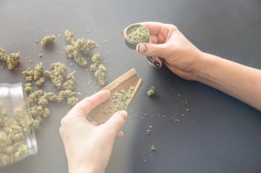 Marihuana saran bir kadın. Esrar hazırlayan ve saran bir kadın. Marihuanayı öğütücüyle kapat. Esrar kullanımı konsepti. Renk tonu