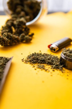 Kenevir tomurcukları için CBD ve THC. Blunt ve Lighters. Kopya uzayı için arkaplan. Kenevirin yasallaştırılması. Taze marihuana. Üst Manzara. Sarı arka planda esrar tomurcukları.
