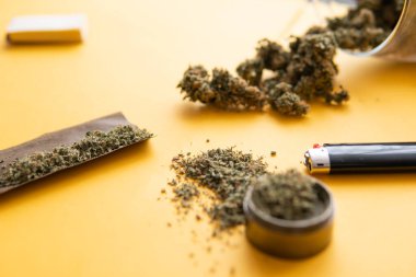 Üst Manzara. Sarı arka planda esrar tomurcukları. Kenevir tomurcukları için CBD ve THC. Blunt ve Lighters. Kopya uzayı için arkaplan. Kenevirin yasallaştırılması. Taze marihuana..