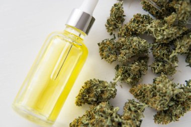 Tıbbi marihuana konsepti, CBD kenevir yağı, doğal bitki, pipetteki kenevir yağı, kapat,