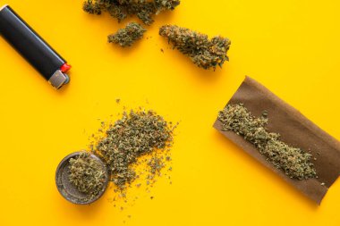 Blunt ve Lighters. Kenevir tomurcukları için CBD ve THC. Kopya uzayı için arkaplan. Kenevirin yasallaştırılması. Taze marihuana. Üst Manzara. Sarı arka planda esrar tomurcukları.