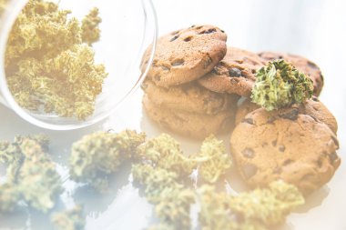 Kenevir otlu kurabiyeler CBD. Esrarlı kurabiyeler ve masada esrar tomurcukları. Gıda ve beyaz arka planda kullanılmak üzere tıbbi marihuana tedavisi.