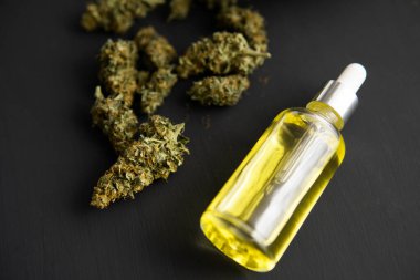 Esrar konsepti, yakın plan, CBD tıbbi petrol, pipette kenevir yağı,