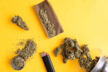 Kenevirin yasallaştırılması. Taze marihuana. Blunt ve Lighters. Kopyalama alanı için sarı arka planda esrar tomurcukları. Üst Manzara. Kenevir tomurcuklarına ilişkin CBD ve THC.