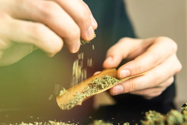 Man Rullar Marijuana Cannabis Trubbigt Närbild Marijuana Joint Med Tändare — Stockfoto