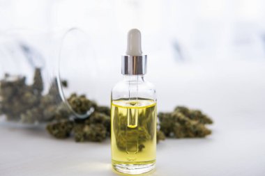 Doğal bitki, CBD kenevir yağı, pipette kenevir yağı, yakın plan, tıbbi marihuana konsepti,