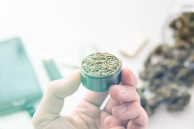 Elinde taze otla öğütücü, marihuana ile birleşik ot tomurcukları beyaz masada, ışık renk tonları sızdırıyor.