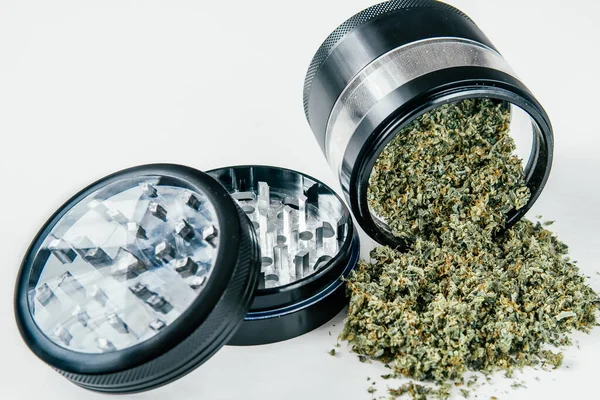 Ot öğütücü taze marihuana. Kenevir tomurcuklarına ilişkin CBD ve THC.
