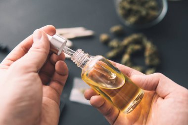 Doğal bitki, tıbbi marihuana konsepti, CBD kenevir yağı. Kenevir ürünü, pipette bir şişe kenevir yağı, yakın çekim.,