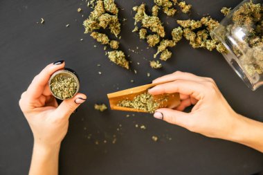 Esrar kullanımı konsepti. Kıyma makinesiyle marihuananın en iyi görüntüsü. Esrar hazırlayan ve saran bir kadın. Yakın plan. Esrar saran bir kadın..