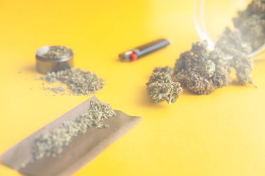 Blunt ve Lighters. Kopya uzayı için arkaplan. Kenevirin yasallaştırılması. Taze marihuana. Üst Manzara. Sarı arka planda esrar tomurcukları. Kenevir tomurcukları için CBD ve THC. ışık sızıntısı