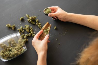 Esrar hazırlayan ve saran bir kadın. Marihuana saran bir kadın. Esrar kullanımı konsepti. Marihuanayı öğütücüyle kapat..
