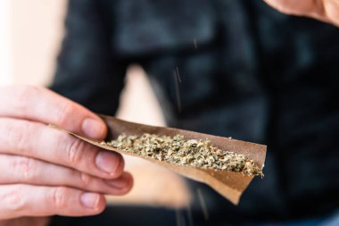 Marihuana Blunt 'ı çakmakla yakmaya çalış. Kapatın. Marihuana kullanan bir adam. Uyuşturucu narkotik konsepti. Esrar hazırlayan ve yuvarlayan adam Blunt..