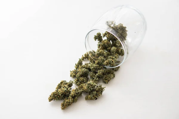 Close Botões Cannabis Mesa Branca Erva Daninha Maconha Fresca — Fotografia de Stock