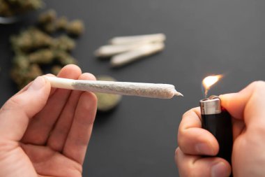 Esrarlı esrar, elinde çakmak, yakın çekim, taze marihuana öğütücü, siyah masada esrar tomurcukları.,