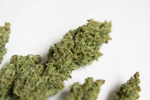 Natural Medical Pot Bouquet Dry Cannabis Buds Marijuana Close White — Stock Photo, Image