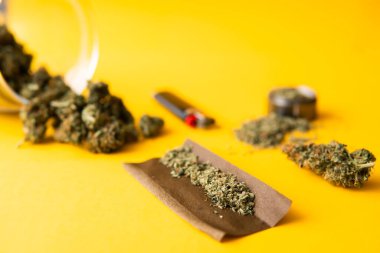 Blunt ve Lighters. Taze marihuana. Üst Manzara. Kenevir tomurcukları için CBD ve THC. Kopyalama alanı için sarı arka planda esrar tomurcukları. Kenevir yasallaştırması.