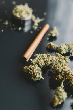 Kenevirin yasallaştırılması. Taze marihuana. Kopyalama uzayı için geri gruplandırma. Kenevir tomurcukları için CBD ve THC. Körelmiş için kenevir sargıları. Siyah arka planda esrar tomurcukları. Dikey çekim