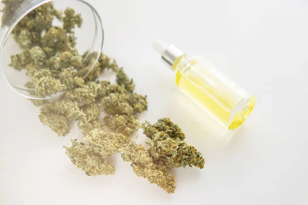 Medicinale Marihuana Concept Close Hennepproduct Cbd Cannabis Olie Natuurlijk Kruid — Stockfoto