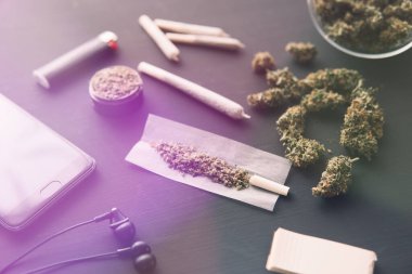 Esrar tomurcukları siyah masada, öğütücü elinde taze marihuana, yakın çekim, esrar eklem, ışık renk akışı