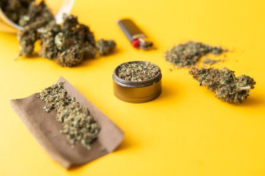 Blunt ve Lighters. Kenevir tomurcukları için CBD ve THC. Üst Manzara. Kopyalama alanı için sarı arka planda esrar tomurcukları el ele tutuşur. Kenevirin yasallaştırılması. Taze marihuana..
