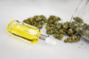 CBD kenevir yağı, yakın plan, pipetteki kenevir yağı, tıbbi marihuana konsepti, doğal bitki,