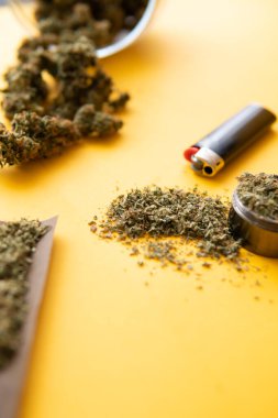 Taze marihuana. Üst Manzara. Sarı arka planda esrar tomurcukları. Kenevir tomurcukları için CBD ve THC. Blunt ve Lighters. Kopya uzayı için arkaplan. Kenevir yasallaştırması.