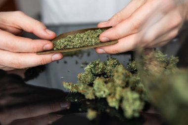 Esrar saran bir adam. Marihuana hazırlayan ve yuvarlayan adam. Esrarkeşin çakmakla esrar içtiği yeri kapatın. Uyuşturucu kullanımı. Kapatın. Uyuşturucu uyuşturucu konsepti.