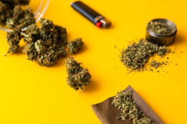 Blunt ve Lighters. Kenevir tomurcukları için CBD ve THC. Kopya uzayı için arkaplan. Kenevirin yasallaştırılması. Taze marihuana. Üst Manzara. Sarı arka planda esrar tomurcukları.