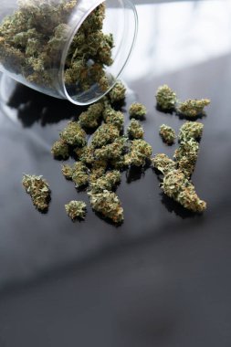 Bitki öğütücü Taze marihuana. Kopyalama alanı için esrarın arka planda el ele tutuşması. Kapatın. Kenevir tomurcukları için CBD ve THC. Künt ve Çakmaklar.