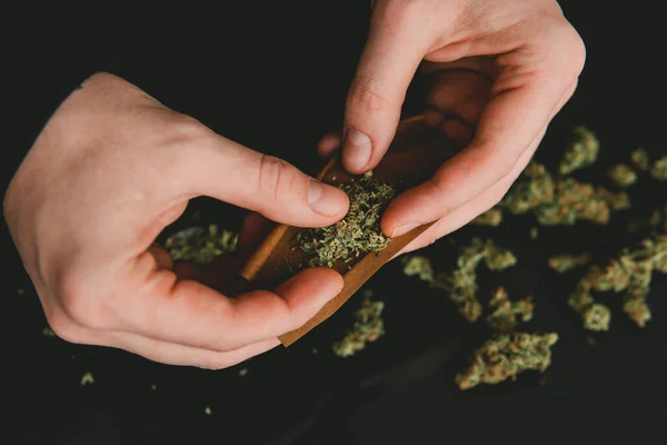 Conceito Uso Panela Fecha Homem Preparando Rolando Maconha Maconha Conjunta — Fotografia de Stock