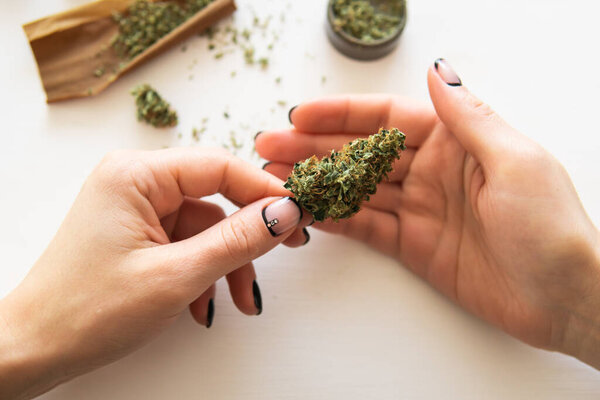 Woman preparing and rolling marijuana cannabis joint. marijuana use concept. Woman rolling a cannabis blunt on white background. Close up of marijuana blunt with grinder.