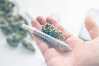 Kenevir marihuana tomurcukları ve el feneri üzerindeki eklem renk akışı yapar