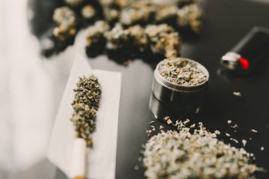 Kenevir tomurcukları için CBD ve THC. Kapatın. Bitki öğütücü Taze marihuana. Blunt ve Lighters. Boşluğu kopyalamak için siyah arkaplan üzerinde esrar tomurcukları.