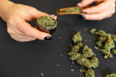 Marihuana kullanımı kavramını kapat. Marihuanayı öğütücüyle kapat. Esrar hazırlayan ve saran bir kadın. Esrar saran bir kadın.