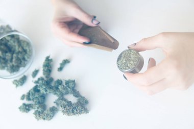Beyaz arka planda esrar içen bir kadın. Marihuana kullanımı kavramı. Marihuanayı öğütücüyle kapat. Esrar hazırlayan ve saran bir kadın. Renk tonu