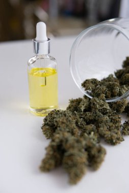 Pipette esrar yağı, doğal bitki, yakın çekim, tıbbi marihuana konsepti, CBD kenevir yağı, dikey çekim
