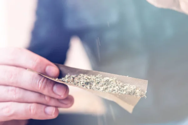 Man Förbereder Och Rullar Marijuana Cannabis Trubbigt Närbild Missbrukare Lyser — Stockfoto